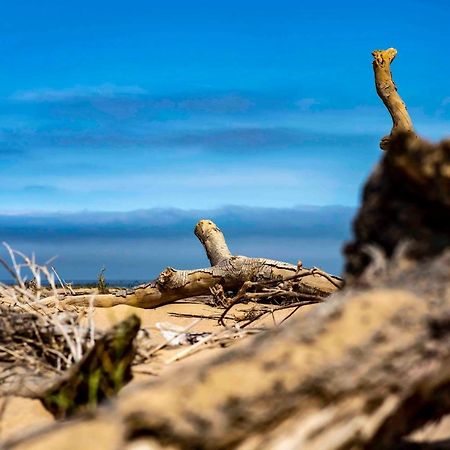 Shipwreck Lodge Mowebaai Exteriör bild