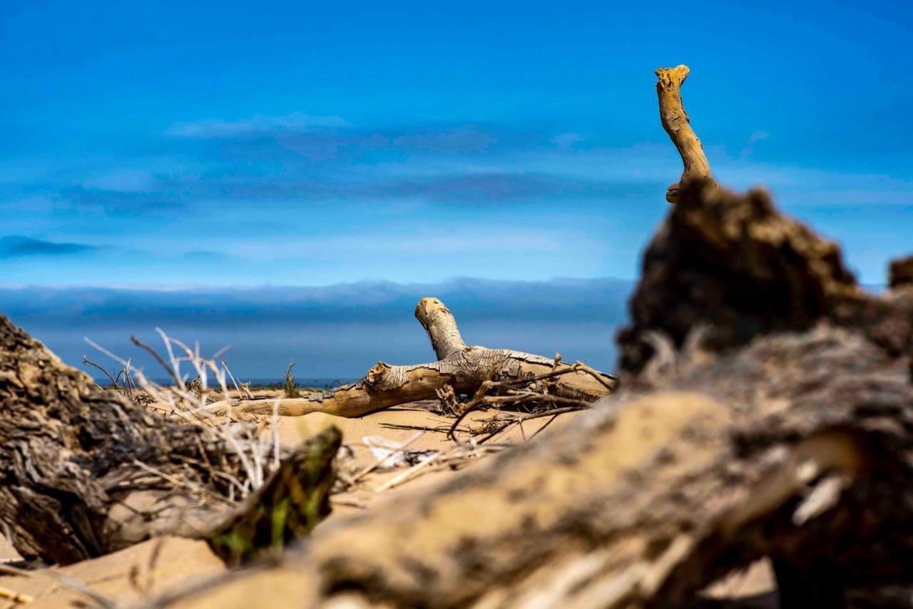 Shipwreck Lodge Mowebaai Exteriör bild