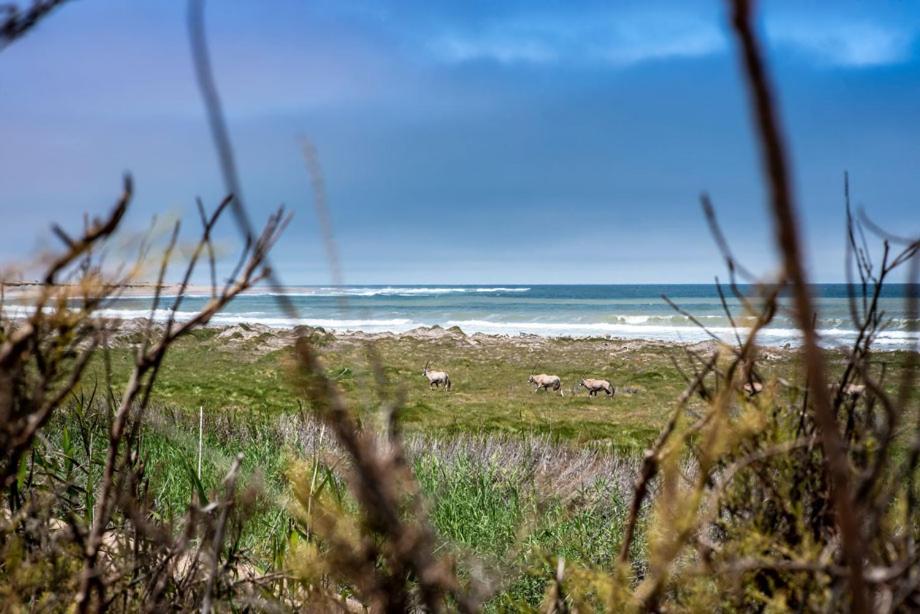 Shipwreck Lodge Mowebaai Exteriör bild